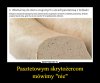 Bydlak