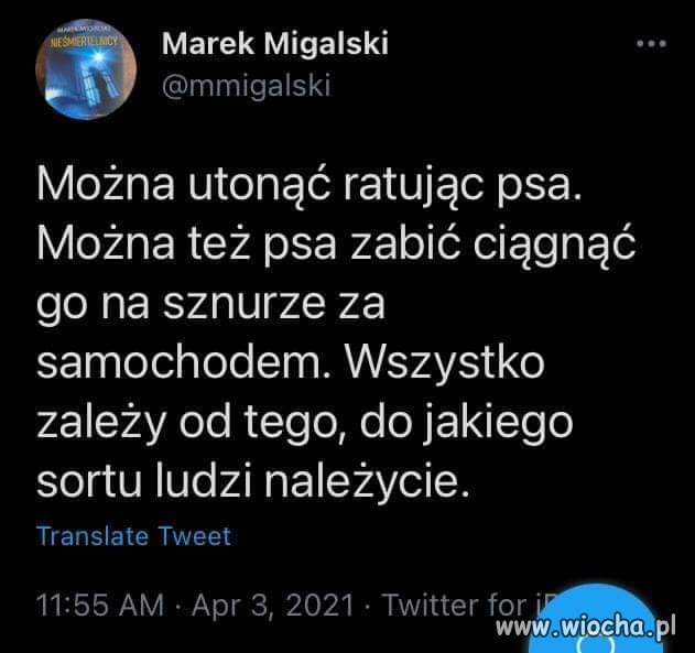 Zależy 