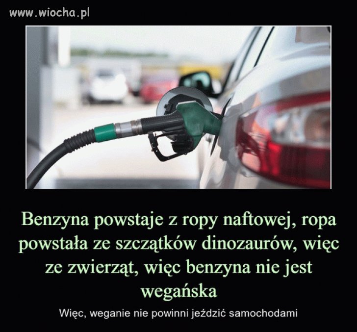 Szach i Mat weganie