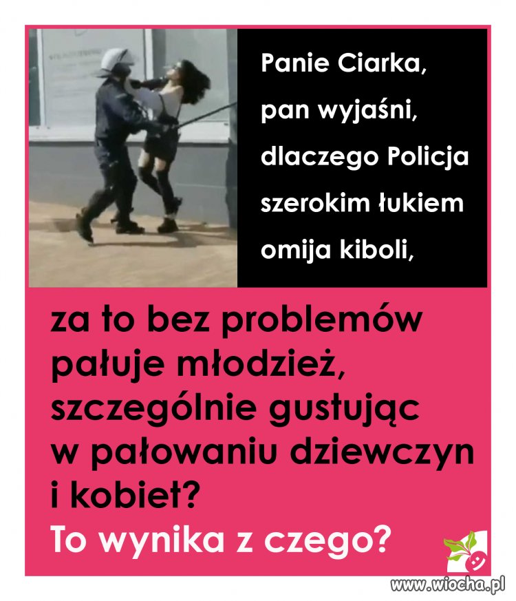 Polska milicja w akcji