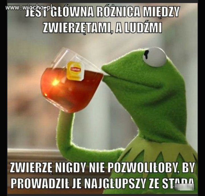 Taka różnica 