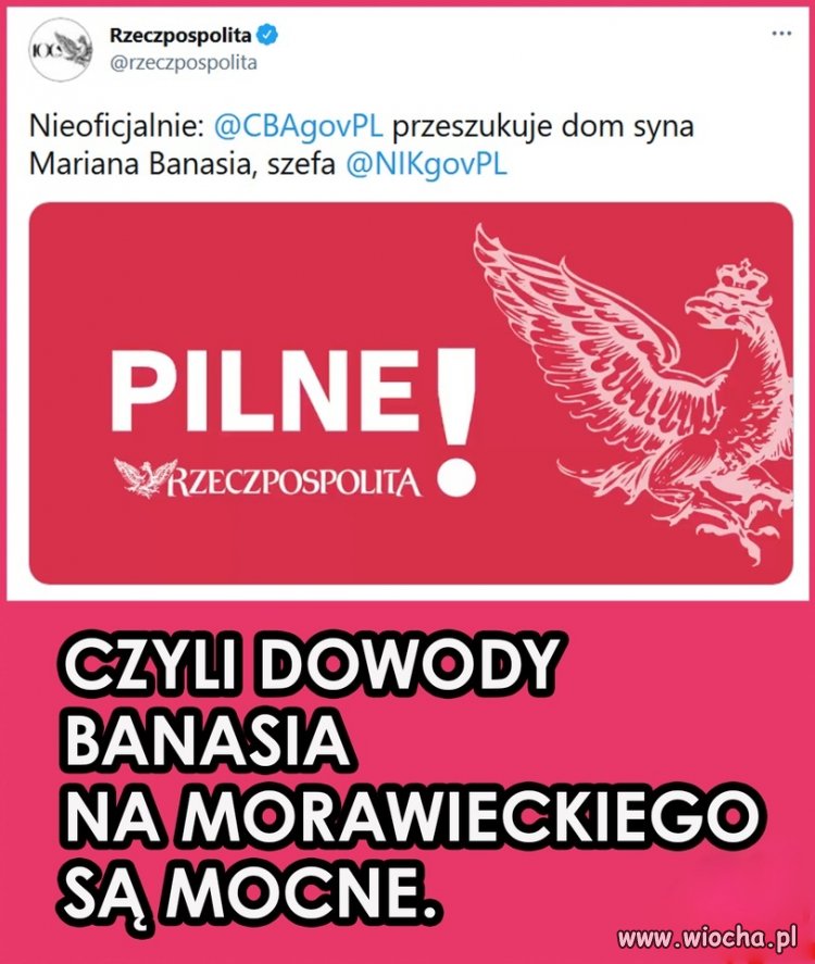 Buldogi gryzą się po kostkach 