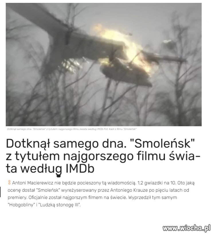 Światowy sukces pisowskiej kinematografii!!!