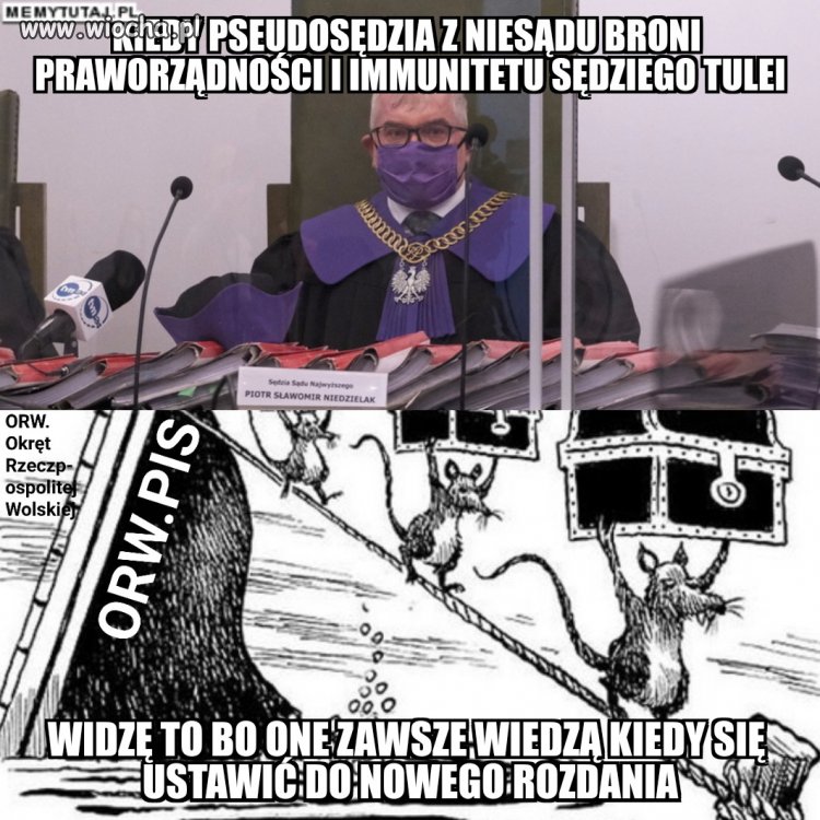Okrętowe szczury