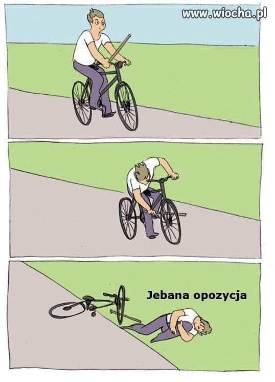 Piękny przykład typowego pisowca
