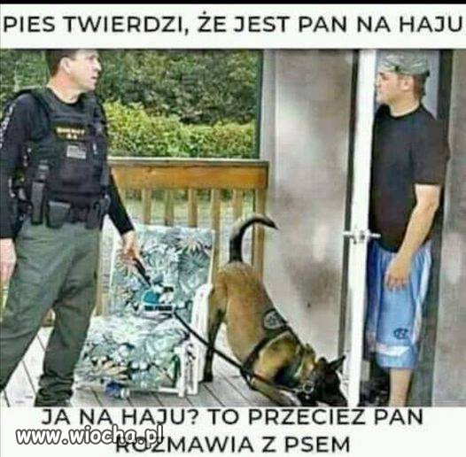 Ciekawe, kto jest 