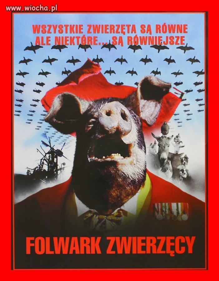 Jakieś skojarzenia?