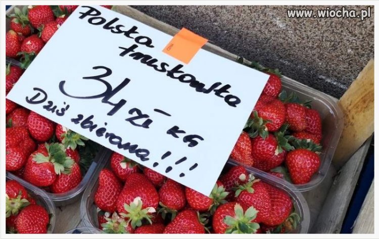Nowy Polski Ład?