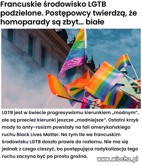 Czyli jednak homoparady są rasistowskie