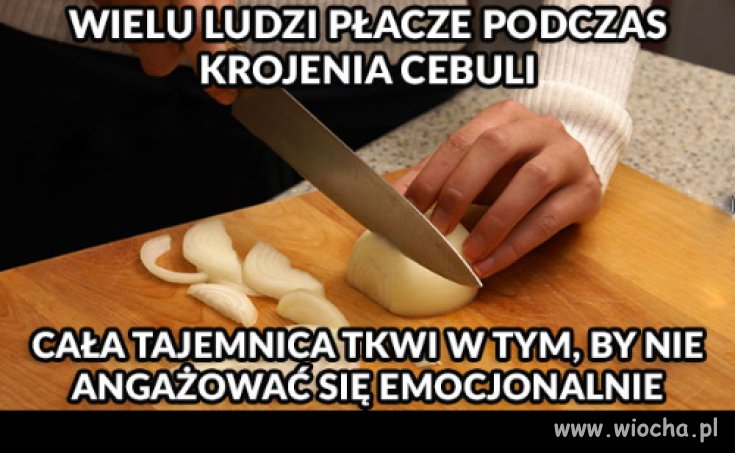 Żal mi cebuli 