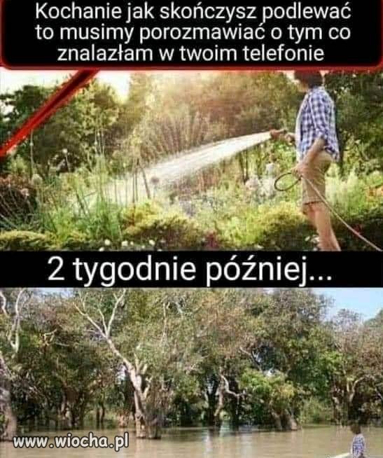Uparł się