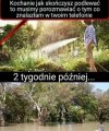 Uparł się