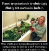 W zaślepieniu ciężko to zrozumieć