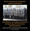 Koniec 