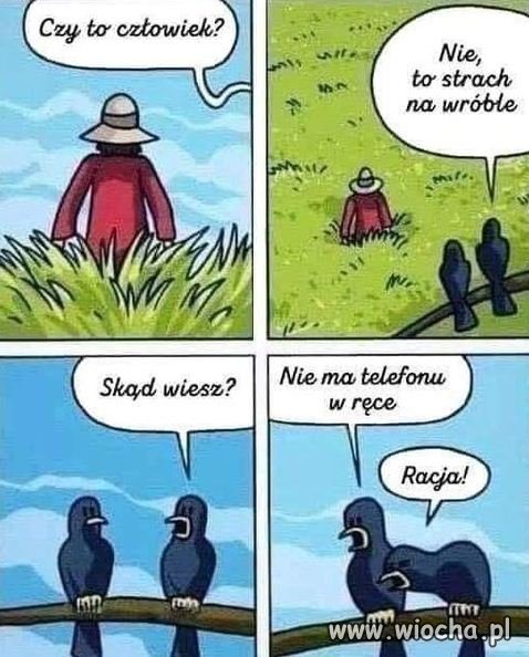 Niestety 