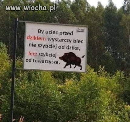 To brzmi logicznie