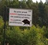 To brzmi logicznie