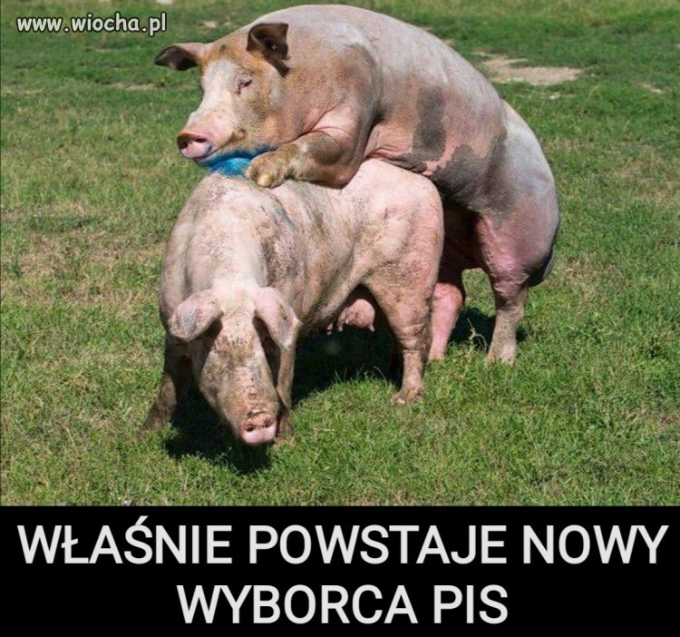 I KONFEDERACJI 