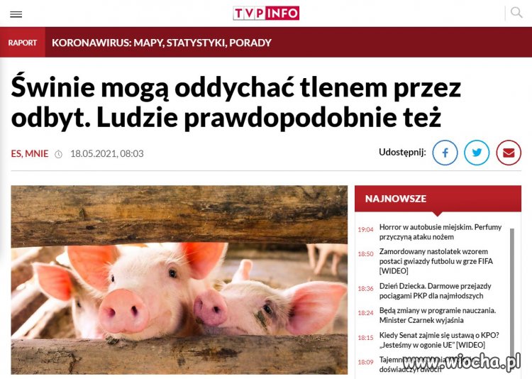 Dlatego PiS zniósł noszenie maseczek