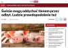 Dlatego PiS zniósł noszenie maseczek