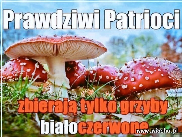 Taka sytuacja   