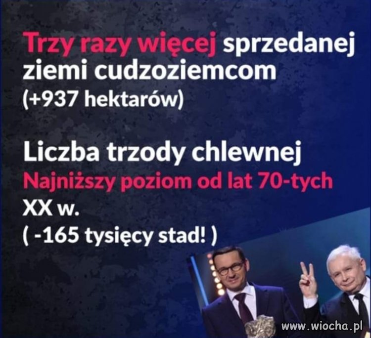 Kraina mlekiem