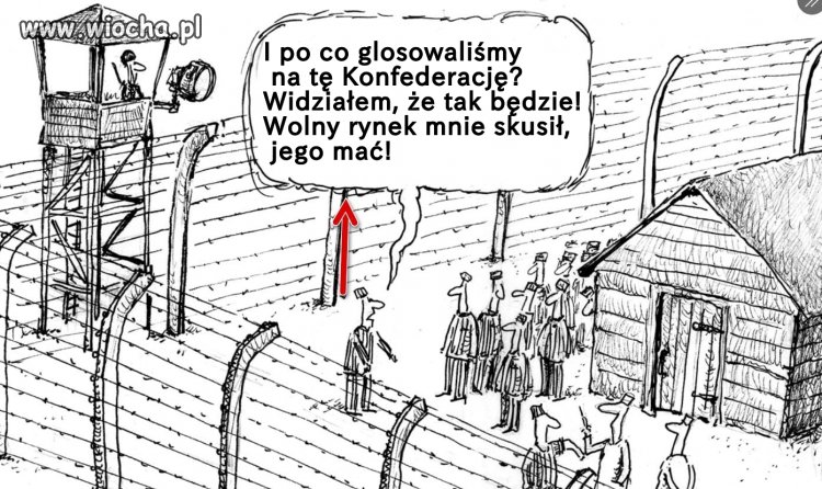 Uważaj na kogo głosujesz