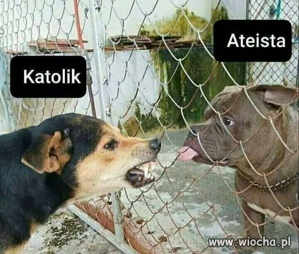 Tak to mniej więcej wygląda