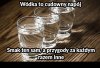 Stęskniony przygód 