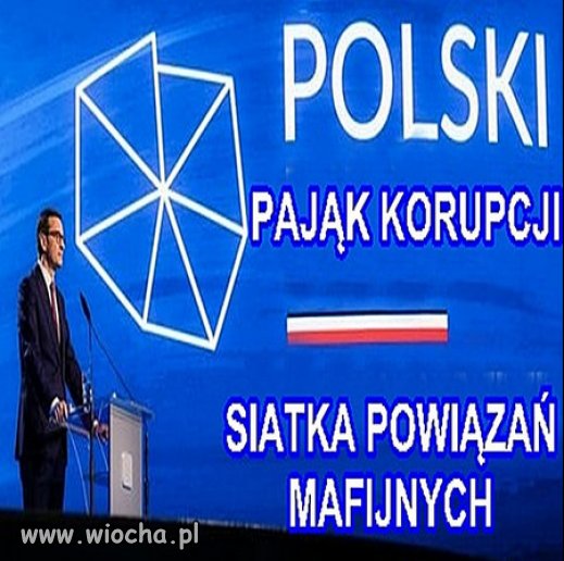 Prawdziwa mafijna pajęczyna nad Polską...
