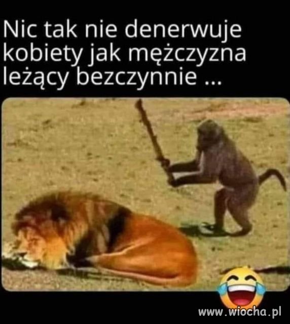 Czysta złośliwość
