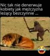 Czysta złośliwość