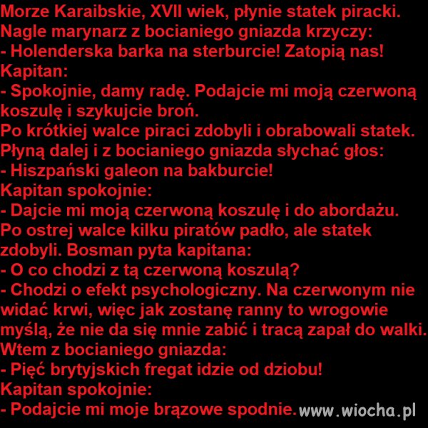 Dziewczyny lubią brąz, a słoń C o tym wie, 