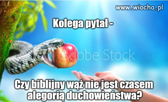 Czarne myśli