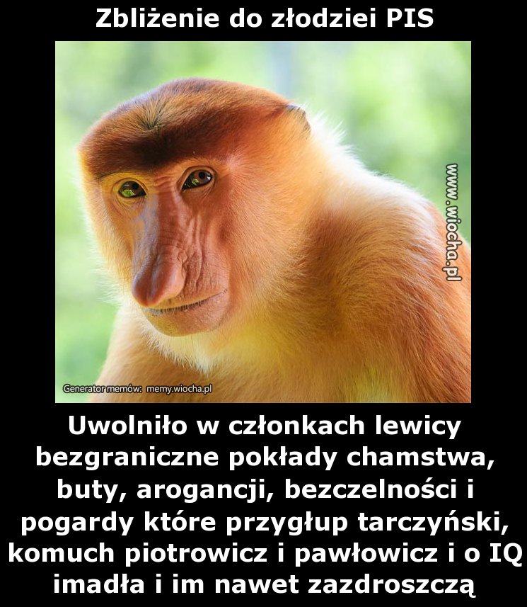 Zbliżenie do złodziei PIS