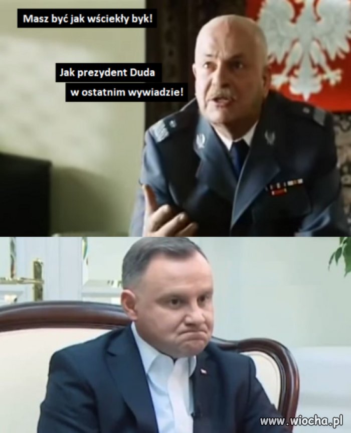 Bądź wściekły jak ...