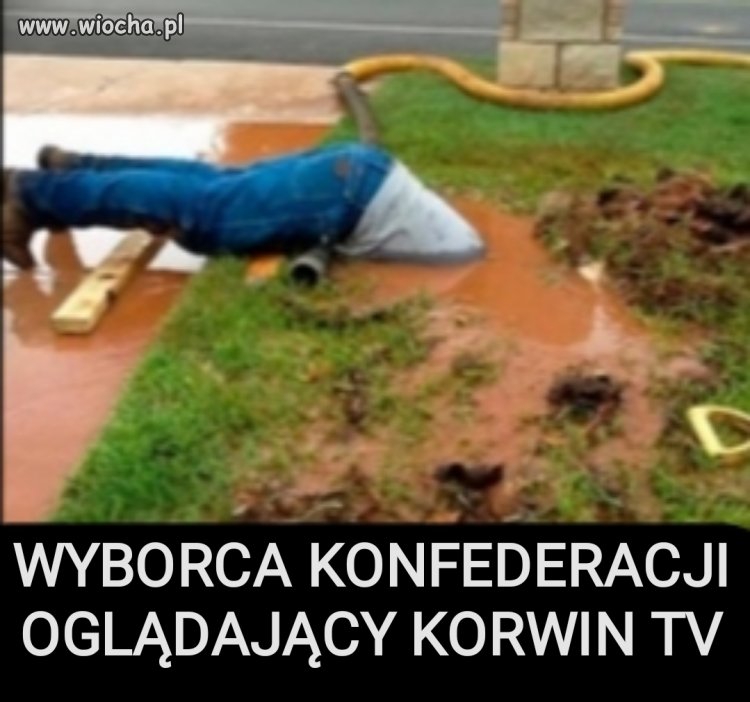 KORWINADCTAĆ 