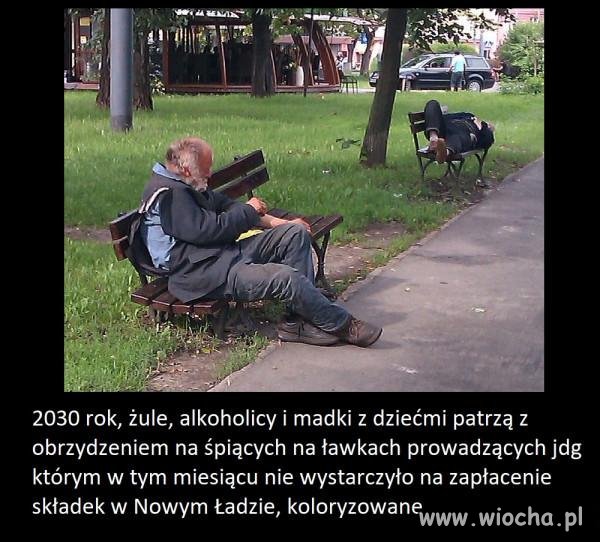 Nowy ład