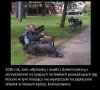 Nowy ład