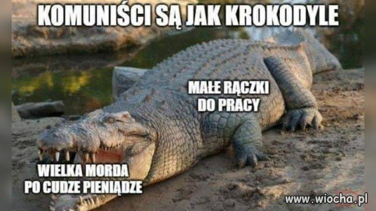 Z pozdrowieniami dla niejakiego kapeli