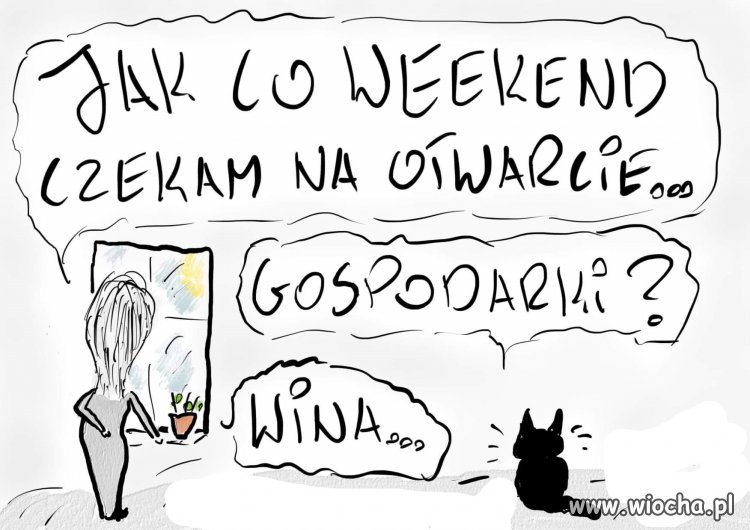 To już trwa powiedzmy rok.