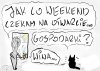 To już trwa powiedzmy rok.