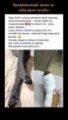 Całe szczęście że tylko jedna noga wystawała z kocyka 