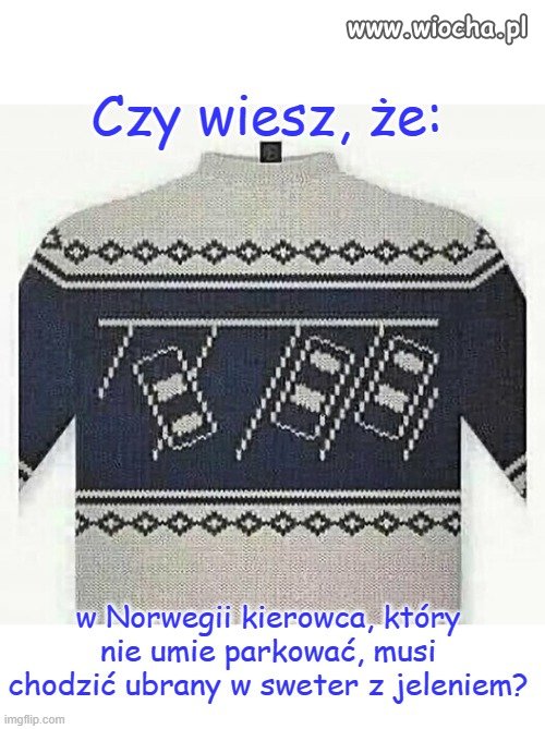 Dobry zwyczaj
