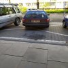 Demonstracja poglądów