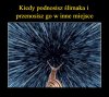 Taka prawda