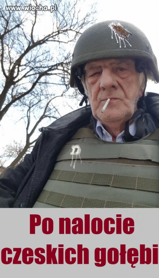 Po nalocie czeskich gołębi.