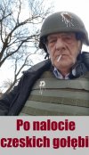 Po nalocie czeskich gołębi.