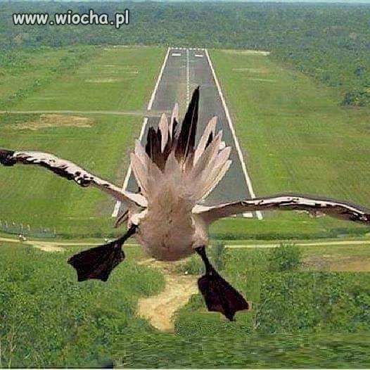 Po półtorarocznych wytężonych pracach