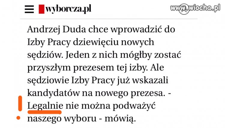 Strażnik konstytucji sobie poradzi. 